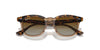 Ray-Ban Junior RJ9098S Havana Transparent/Brown #colour_havana-transparent-brown