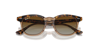 Ray-Ban Junior RJ9098S Havana Transparent/Brown #colour_havana-transparent-brown