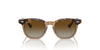 Ray-Ban Junior RJ9098S Havana Transparent/Brown #colour_havana-transparent-brown