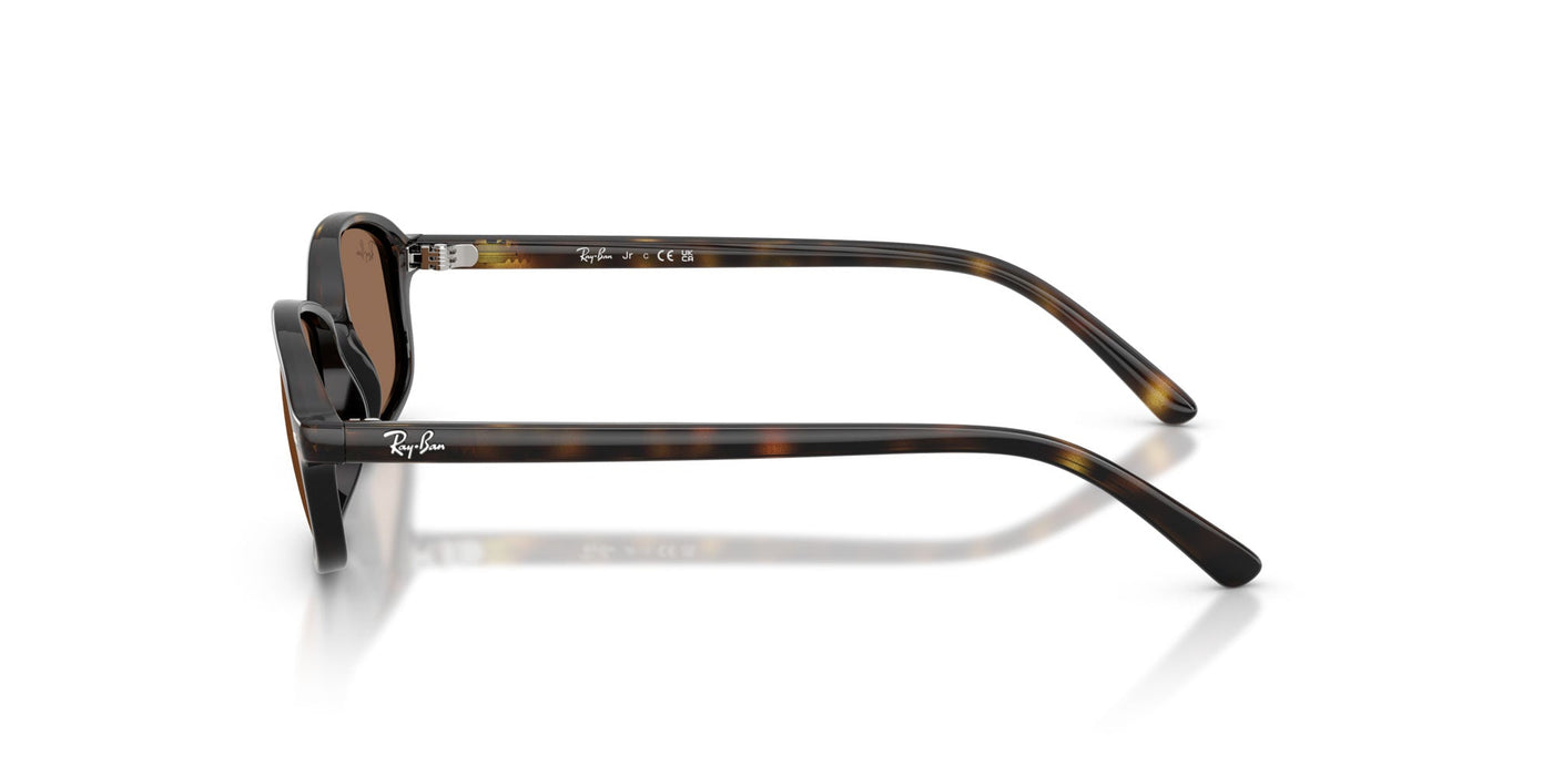 Ray-Ban Junior RJ9132S Havana/Dark Brown #colour_havana-dark-brown