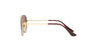 Ray-Ban Junior RJ9506S Gold/Brown #colour_gold-brown