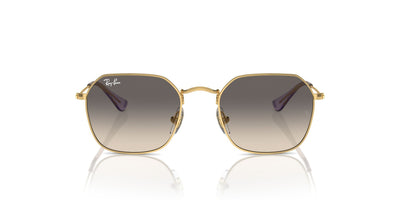 Ray-Ban Junior RJ9594S Gold/Grey #colour_gold-grey