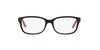 Ralph Lauren RL6062 Shiny Dark Havana On Red #colour_shiny-dark-havana-on-red