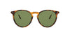 Ralph Lauren RL8181P Shiny Antique Havana/Green #colour_shiny-antique-havana-green