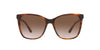 Ralph Lauren RL8201 Shiny Striped Havana/Gradient Brown #colour_shiny-striped-havana-gradient-brown
