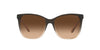 Ralph Lauren RL8201 Shiny Gradient Black-Transparent Beige/Light Gradient Brown #colour_shiny-gradient-black-transparent-beige-light-gradient-brown