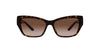 Ralph Lauren RL8206U Shiny Dark Havana/Brown Gradient #colour_shiny-dark-havana-brown-gradient