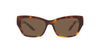 Ralph Lauren RL8206U Shiny Jc Havana/Dark Brown #colour_shiny-jc-havana-dark-brown