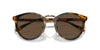 Ralph Lauren The Quincy RL8223 Antique Havana/Brown #colour_antique-havana-brown