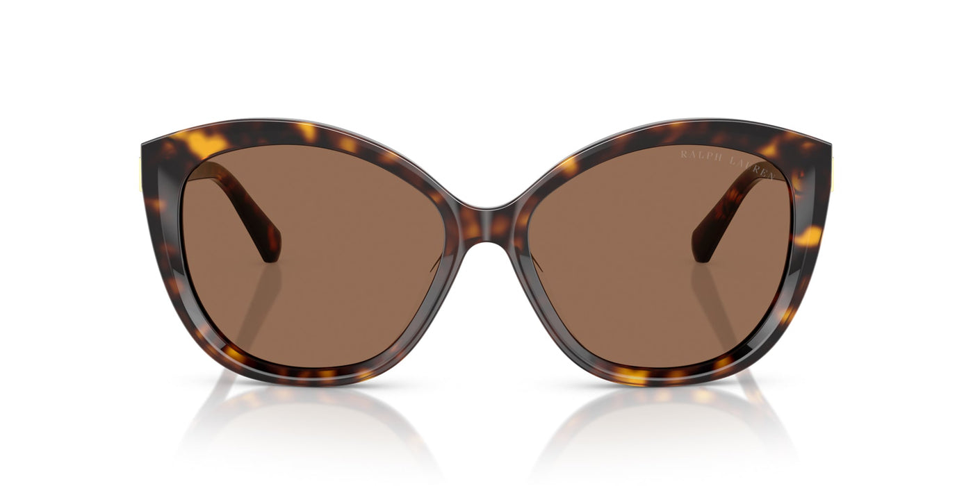 Ralph Lauren RL8225U Dark Havana/Brown #colour_dark-havana-brown