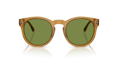 Ralph Lauren RL8229U Opal Honey/Solid Green #colour_opal-honey-solid-green