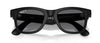 #colour_black-graphite-polarised