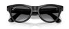 #colour_black-graphite-polarised