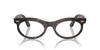 Ray-Ban Wayfarer Oval RB2242V Havana #colour_havana