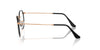 Ray-Ban RB3447V Black On Rose Gold #colour_black-on-rose-gold