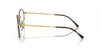 Ray-Ban Jim RB3694V Havana On Gold #colour_havana-on-gold