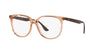 Ray-Ban RB4378V Transparent Brown #colour_transparent-brown