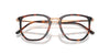 Ray-Ban RB4451V Striped Havana #colour_striped-havana