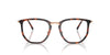 Ray-Ban RB4451V Striped Havana #colour_striped-havana