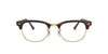 #colour_mock-tortoise