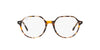 Ray-Ban Thalia RB5395 Brown-Grey Havana #colour_brown-grey-havana