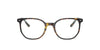 Ray-Ban Elliot RB5397 Havana On Transparent Green #colour_havana-on-transparent-green