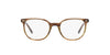 Ray-Ban Elliot RB5397 Striped Brown Green #colour_striped-brown-green