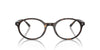 Ray-Ban German RB5429 Havana #colour_havana