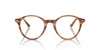Ray-Ban Bernard RB5430 Striped Brown #colour_striped-brown