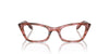 Ray-Ban Lady Burbank RB5499 Striped Pink #colour_striped-pink