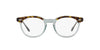 Ray-Ban Eagleeye RB5598 Havana On Transparent Green #colour_havana-on-transparent-green