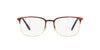 Ray-Ban RB6494 Havana On Gold #colour_havana-on-gold