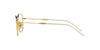 Ray-Ban RB6497 Arista #colour_arista