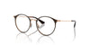 Ray-Ban Junior RB1053 Brown On Rose Gold #colour_brown-on-rose-gold