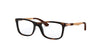 Ray-Ban Junior RB1549 Havana #colour_havana