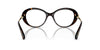 Swarovski SK2001 Dark Havana #colour_dark-havana