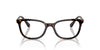 Swarovski SK2003 Havana #colour_havana