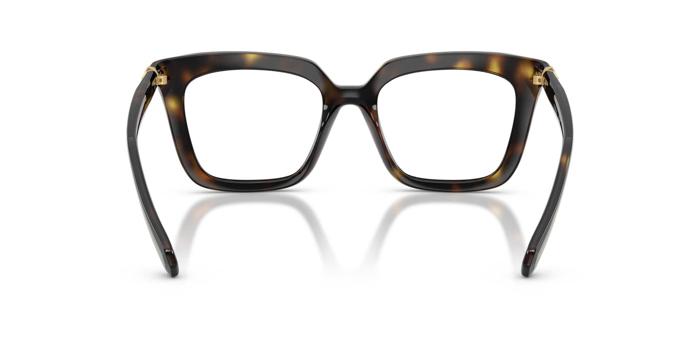 Swarovski SK2043 Havana #colour_havana