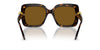Swarovski SK6001 Havana/Brown Polarised #colour_havana-brown-polarised
