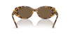 Swarovski SK6002 Light Havana/Dark Brown #colour_light-havana-dark-brown
