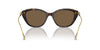 Swarovski SK6010 Havana/Dark Brown #colour_havana-dark-brown