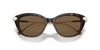 Swarovski SK6010 Havana/Dark Brown #colour_havana-dark-brown