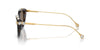 Swarovski SK6010 Havana/Dark Brown #colour_havana-dark-brown