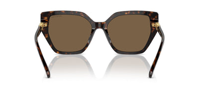 Swarovski SK6016 Dark Havana/Dark Brown #colour_dark-havana-dark-brown