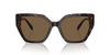 Swarovski SK6016 Dark Havana/Dark Brown #colour_dark-havana-dark-brown