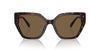 Swarovski SK6016 Dark Havana/Dark Brown #colour_dark-havana-dark-brown