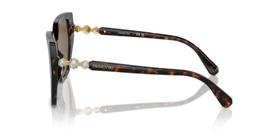 Swarovski SK6016 Dark Havana/Dark Brown #colour_dark-havana-dark-brown