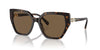 Swarovski SK6016 Dark Havana/Dark Brown #colour_dark-havana-dark-brown