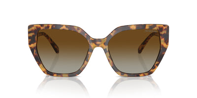 Swarovski SK6016 Medium Havana/Brown #colour_medium-havana-brown