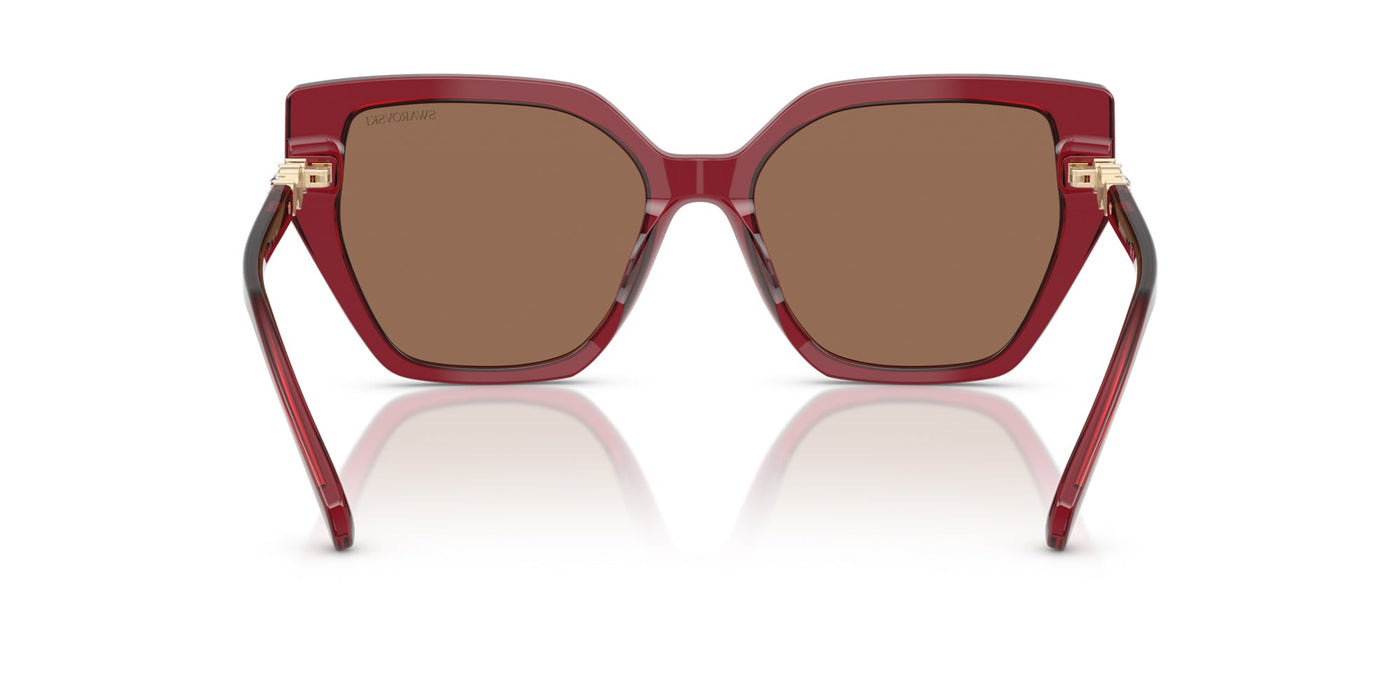 Swarovski SK6016 Transparent Burgundy/Dark Brown #colour_transparent-burgundy-dark-brown